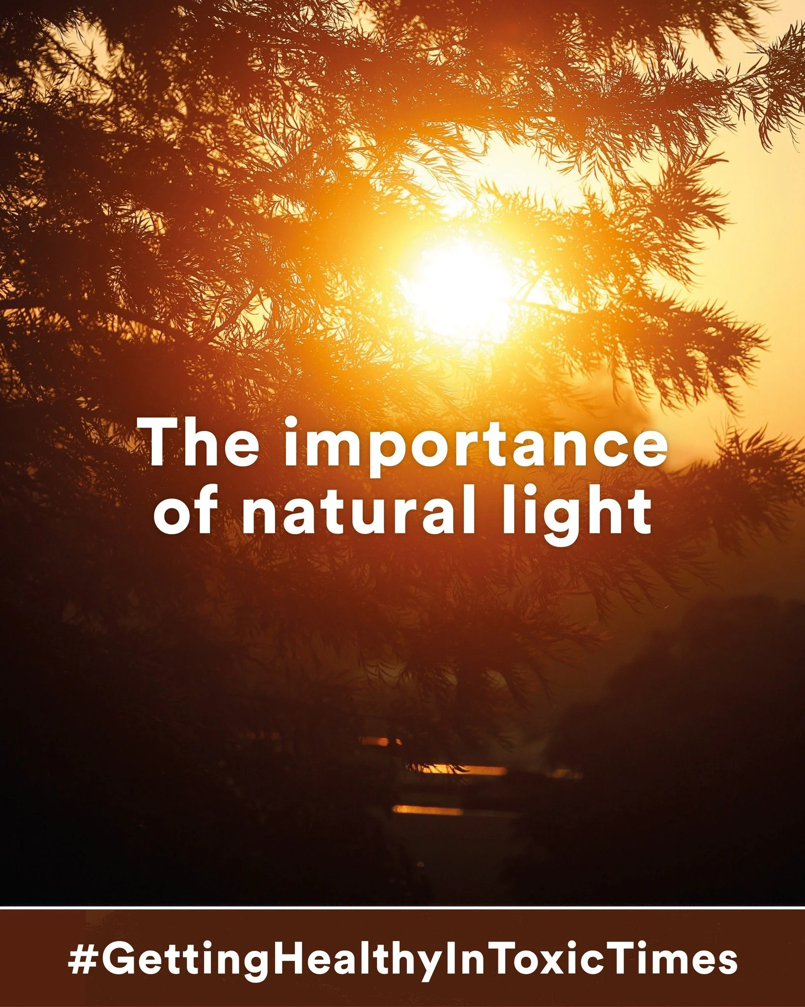 Back in 1988, my brilliant colleague, Dr Damien Downing @drdamiendowning, president of the British Society for Ecological Medicine @bsem_org (where I learnt everything I know!), published a book called &ldquo;Daylight Robbery&rdquo;. It was radical a