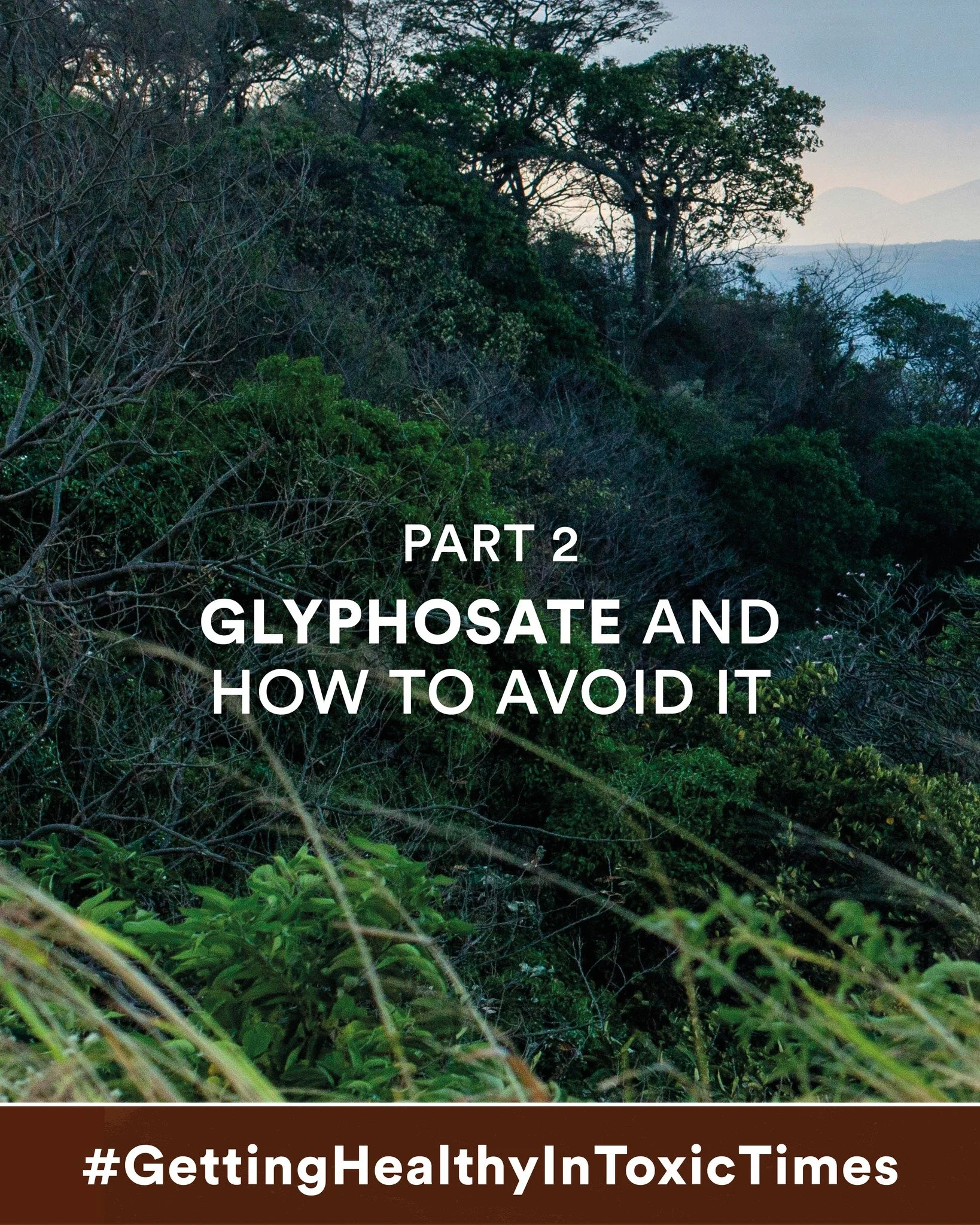 In El Salvador and Nicaragua, young agricultural workers who spray Glyphosate on sugar cane crops are dying of what is euphemistically called Chronic Kidney Disease of Unknown Origin (CKDu). But the origin is not unknown; it&rsquo;s Glyphosate poison