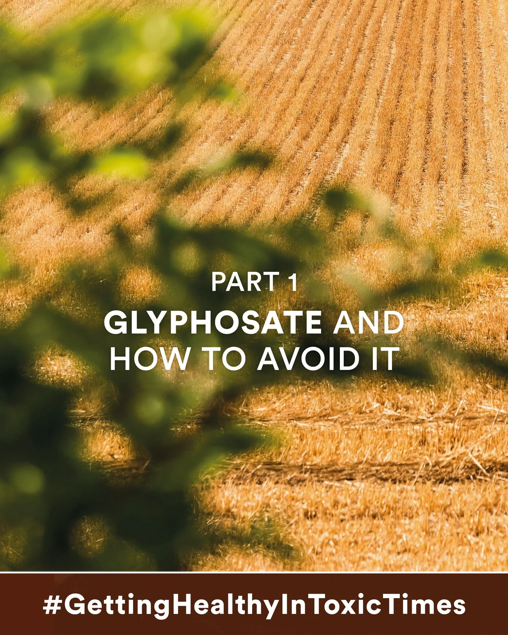 What about Glyphosate? And how can we avoid it?

In 2014, Dewayne Johnson, aged 42, developed a blood cancer called non-Hodgkin lymphoma. He worked as a school groundskeeper in California. His job involved spraying Roundup, which contains the herbici