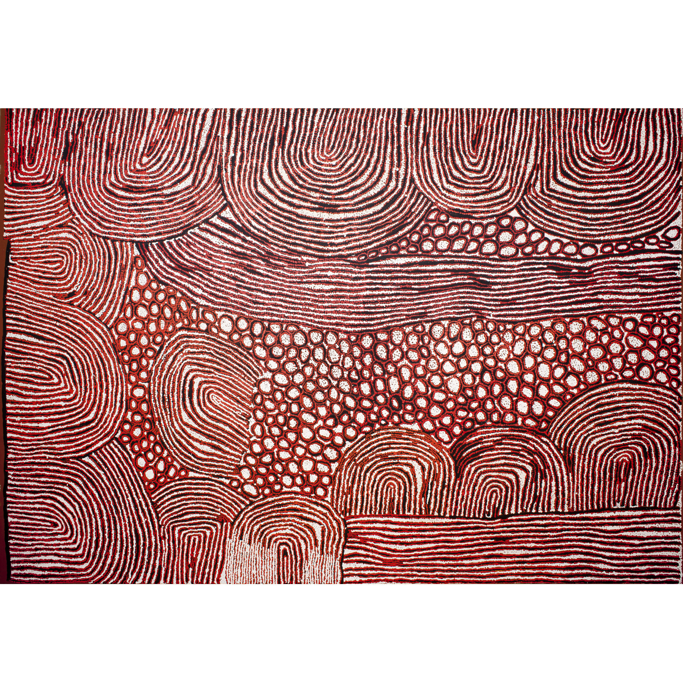 Walangkura Napanangka - Women's Ceremony - 296 x 205 - Acrylique sur toile - 2006
