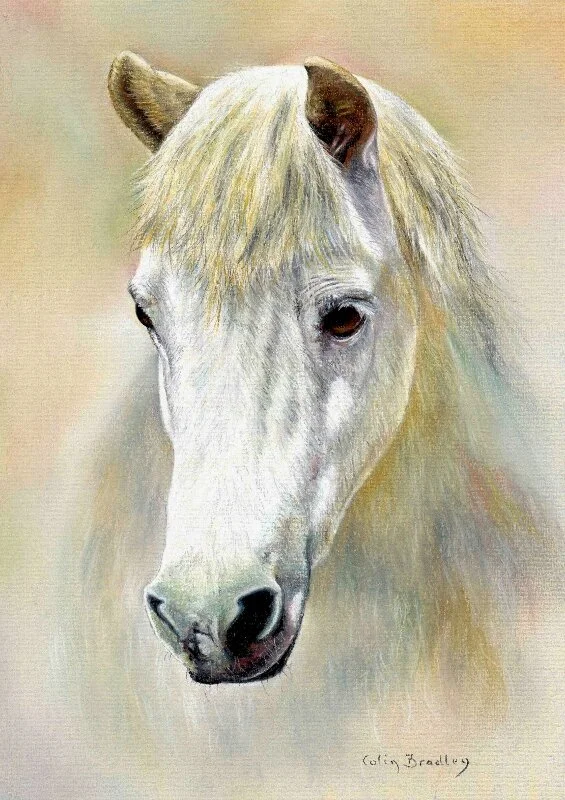 Choosing a Background