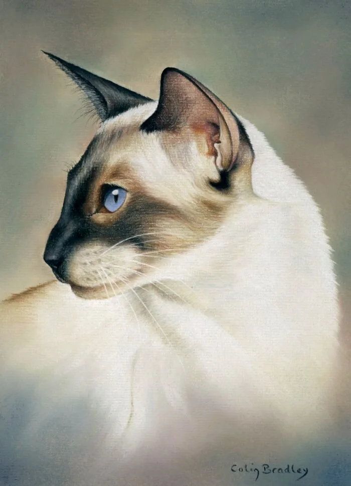 Blending Backgrounds into Animals