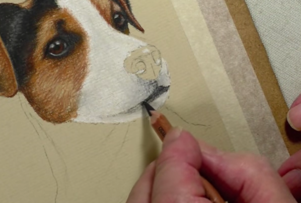 Tips for using Soft Pastel with Pastel Pencils — The Colin Bradley