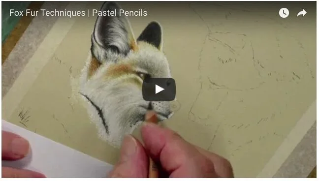 Drawing-fox-fur-using-pastel-pencils-with-colin-bradley.jpg