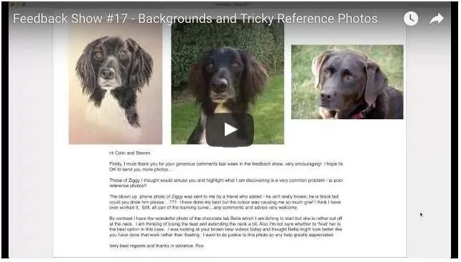 Feedback-Show-17-backgrounds-and-tricky-reference-photos.jpg