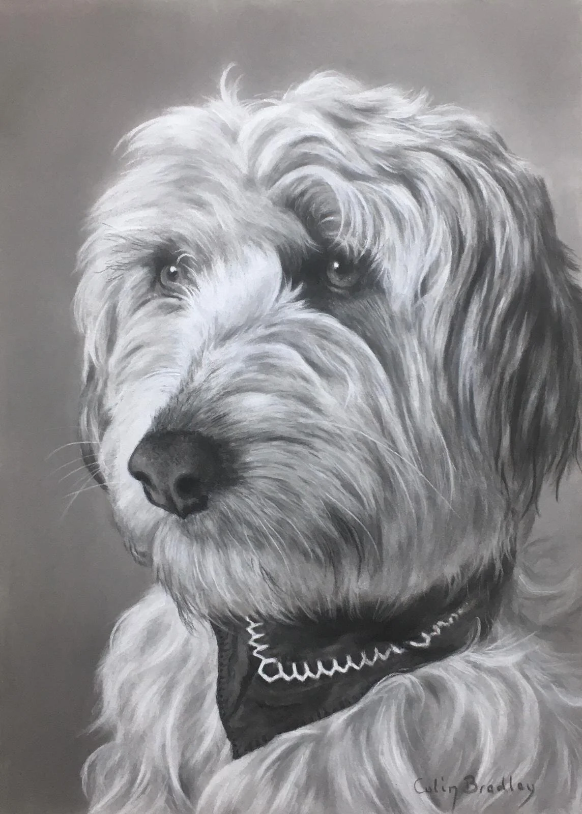 Long Fur and Neckerchiefs - Podcast 🎙