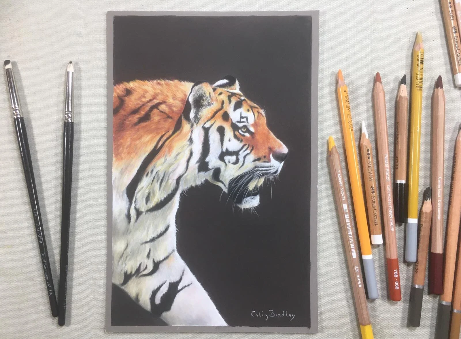 Tiger Tips - Podcast 🎙