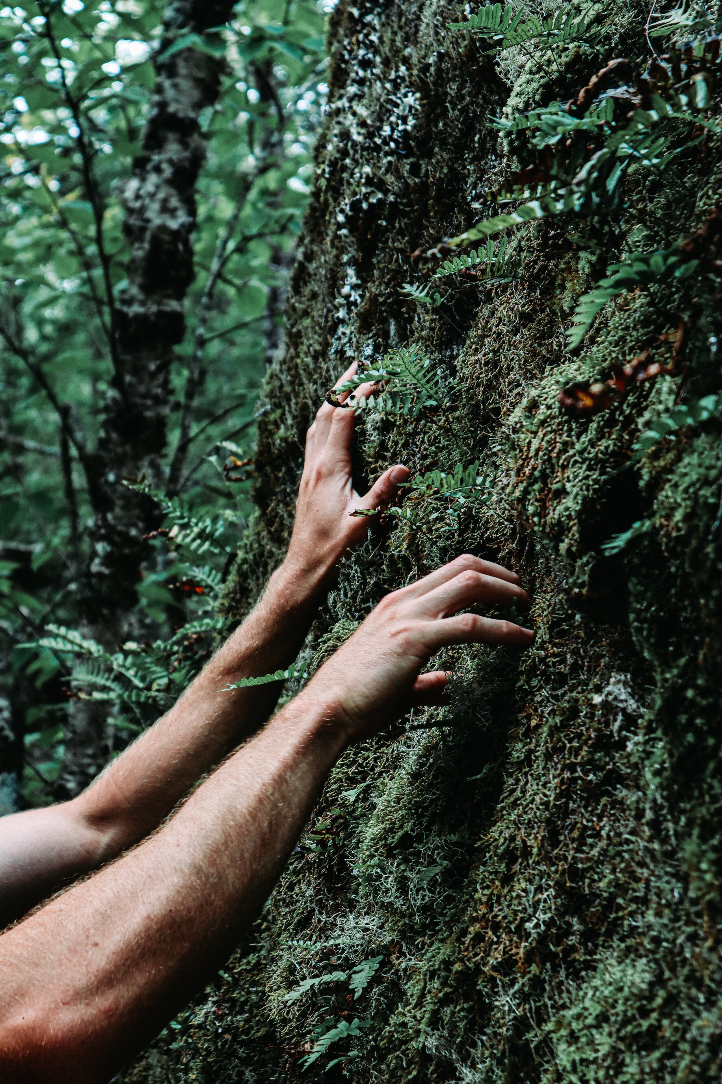 20210809020003_IMG_8678 (1).jpg