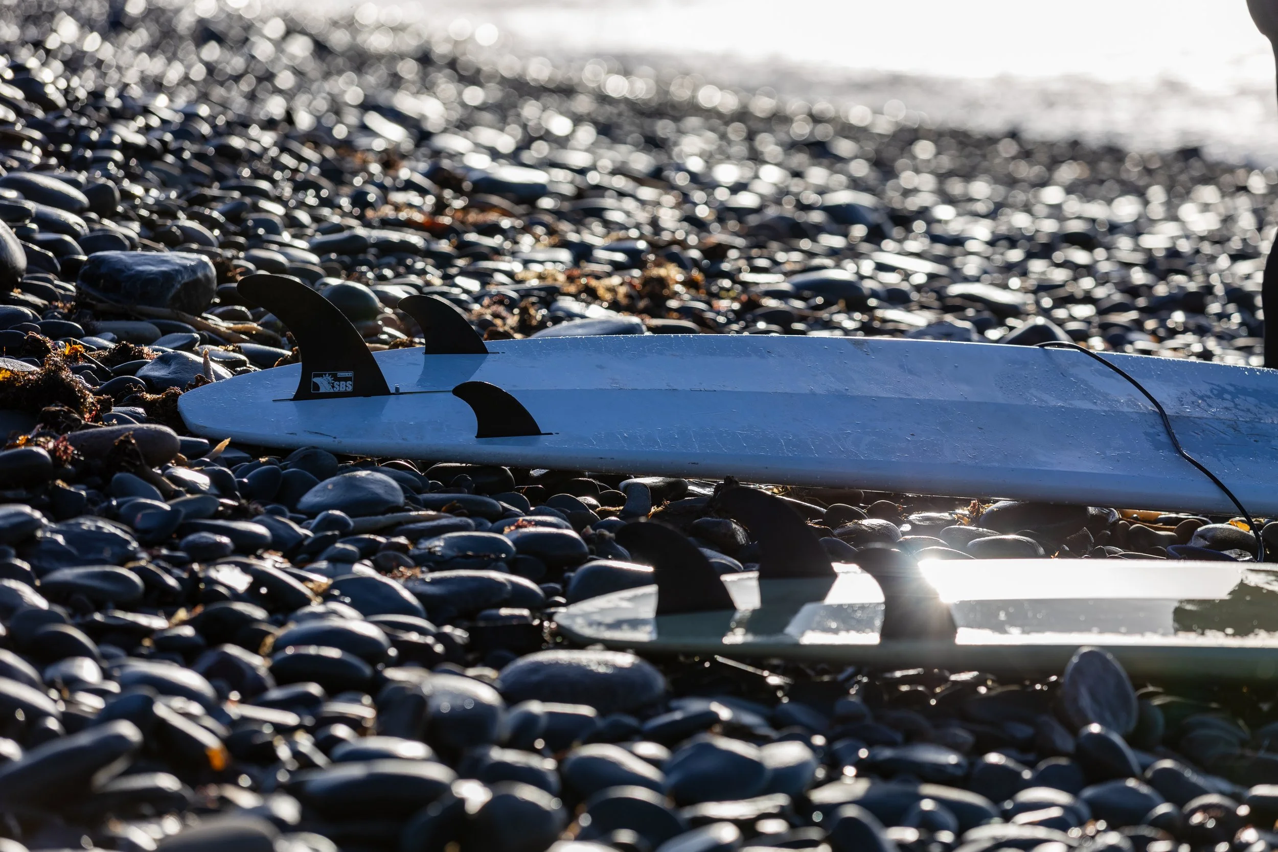 aMano Lamb Fall-17.jpg