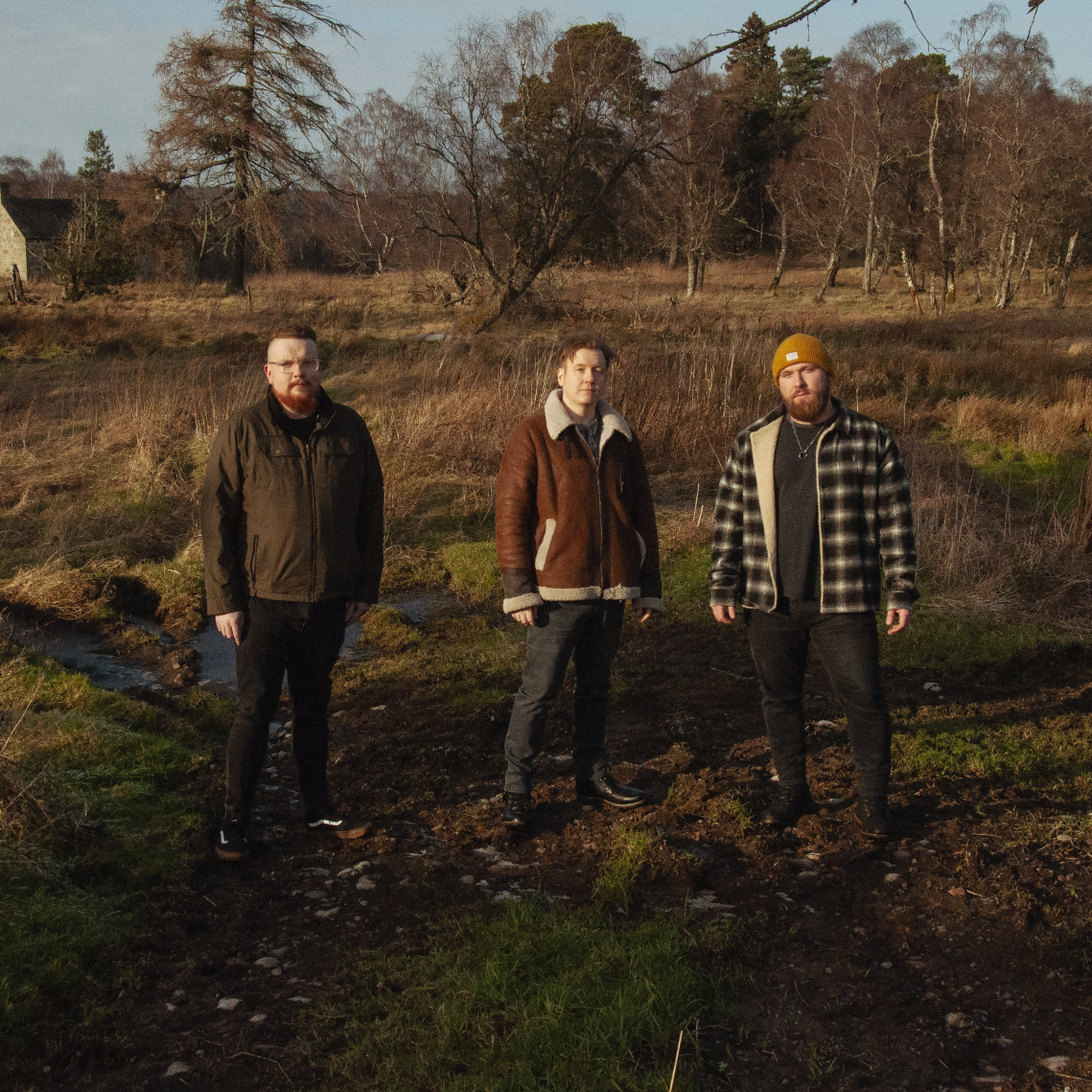 Lucid Liars in the wilderness (credit Ruadh Images)