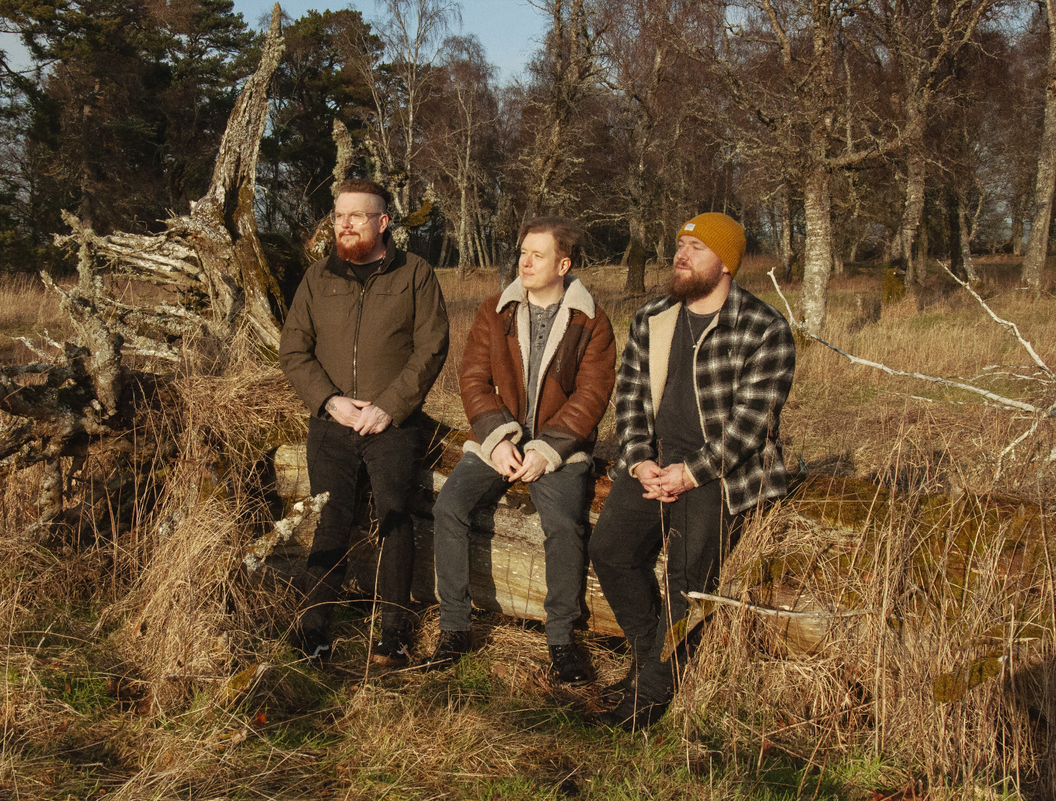 Lucid Liars in the wilderness (credit Ruadh Images)