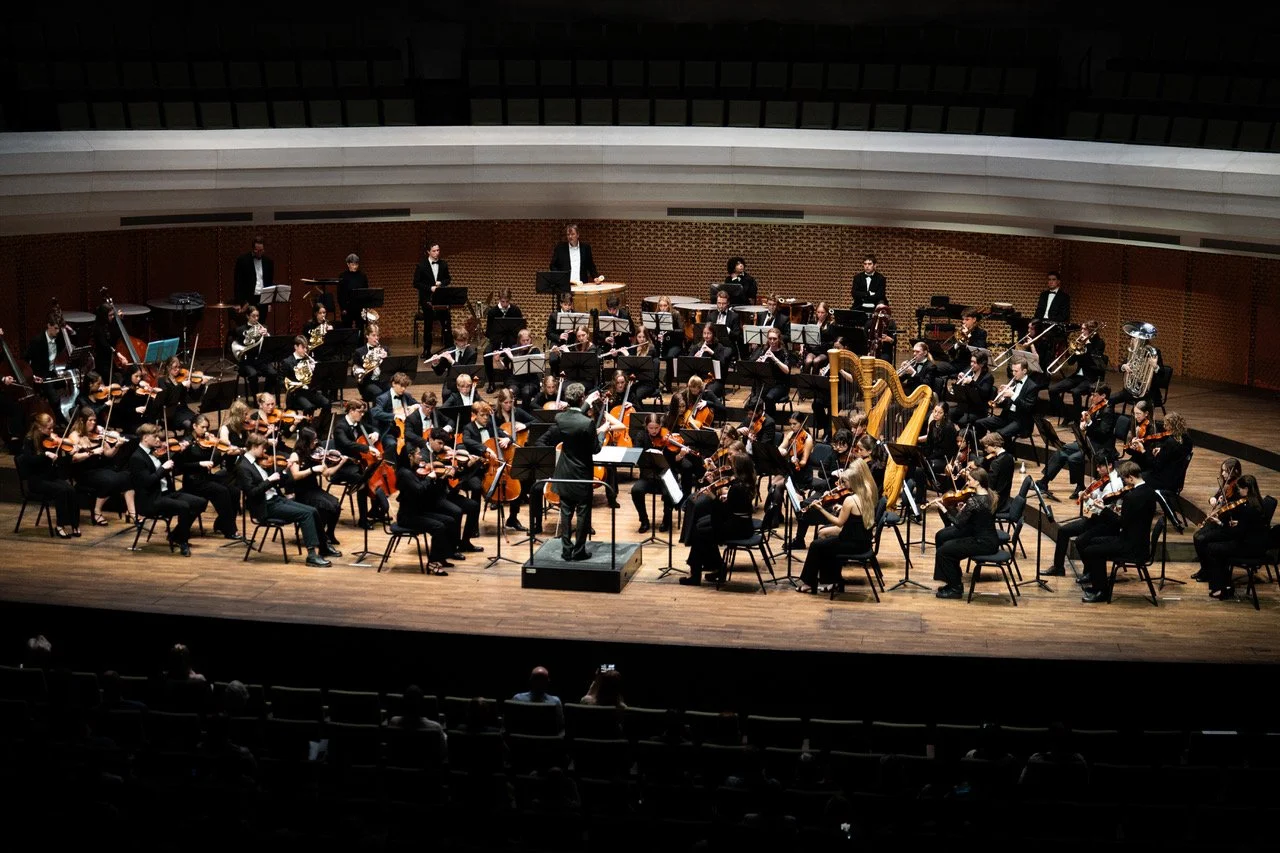 VIOTTA Symfoniorkester