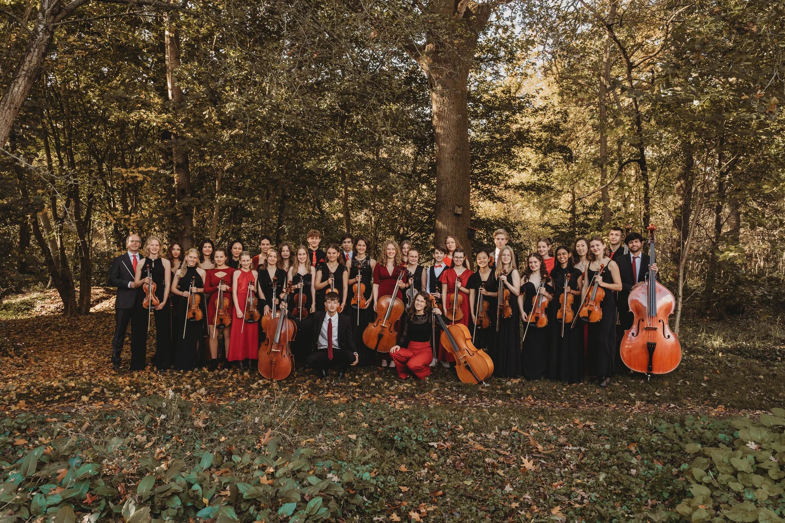 Haydn Youth String Orchestra