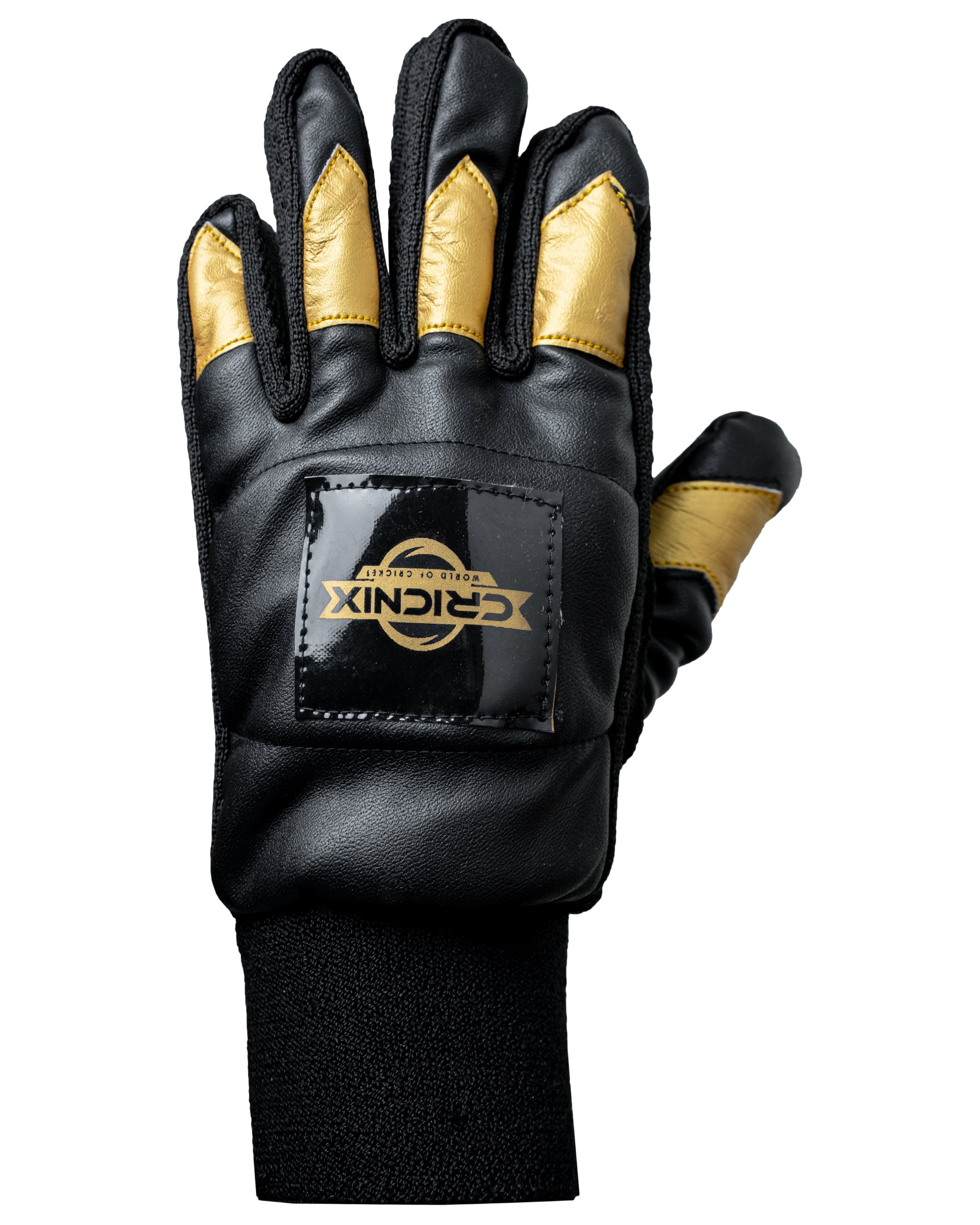 Black Gloves Back.jpg
