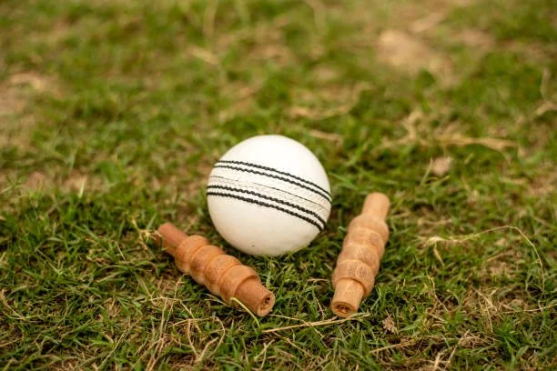 2-piece vs. 4-piece cricket ball