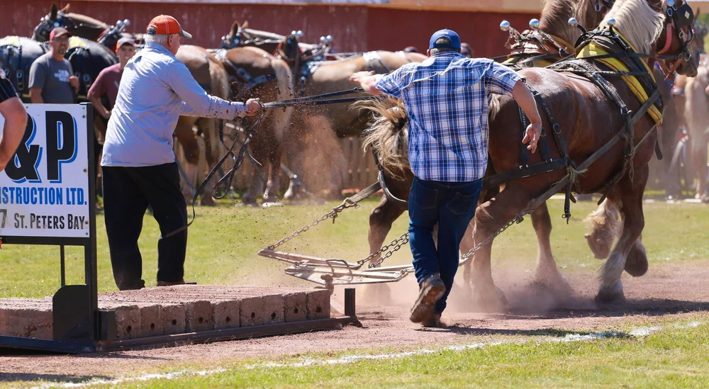 PEI Provincial Plowing Match — PEI Association of Exhibitions