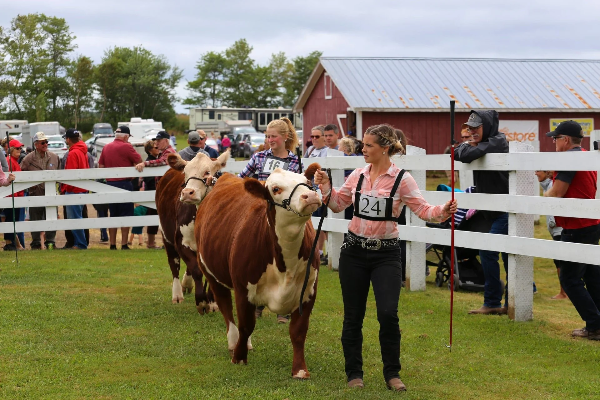 PEI Provincial Plowing Match — PEI Association of Exhibitions