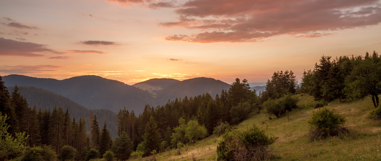 Awe as Medicine: Finding Hope in a Difficult World