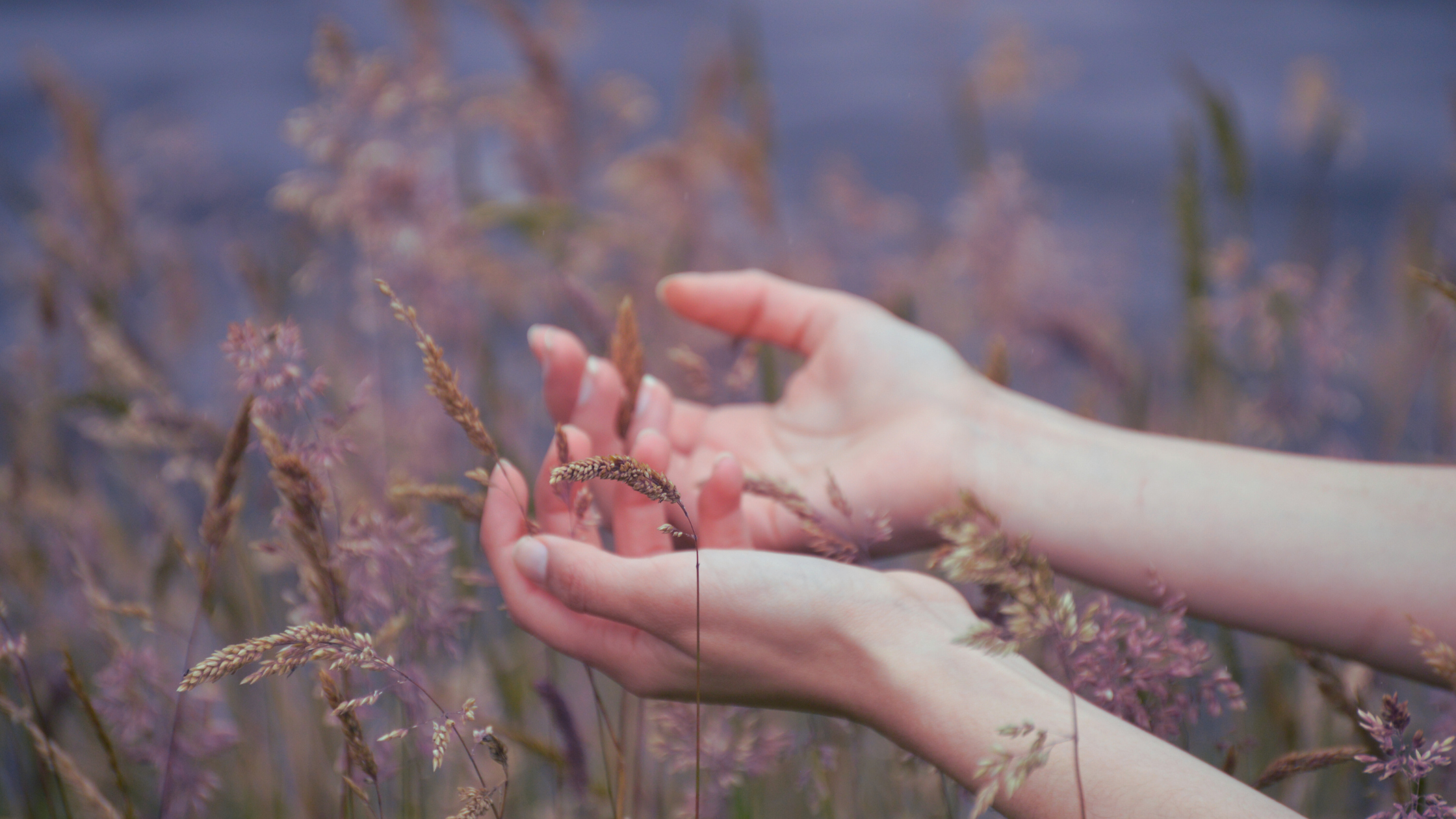 Soul Care and the Work of Alignment