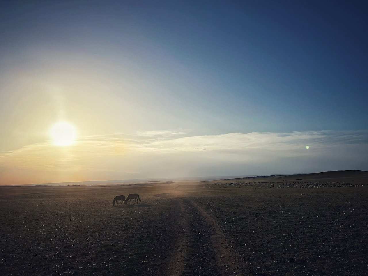 Mongolia Dawn Desert Tokarski Michał.jpeg