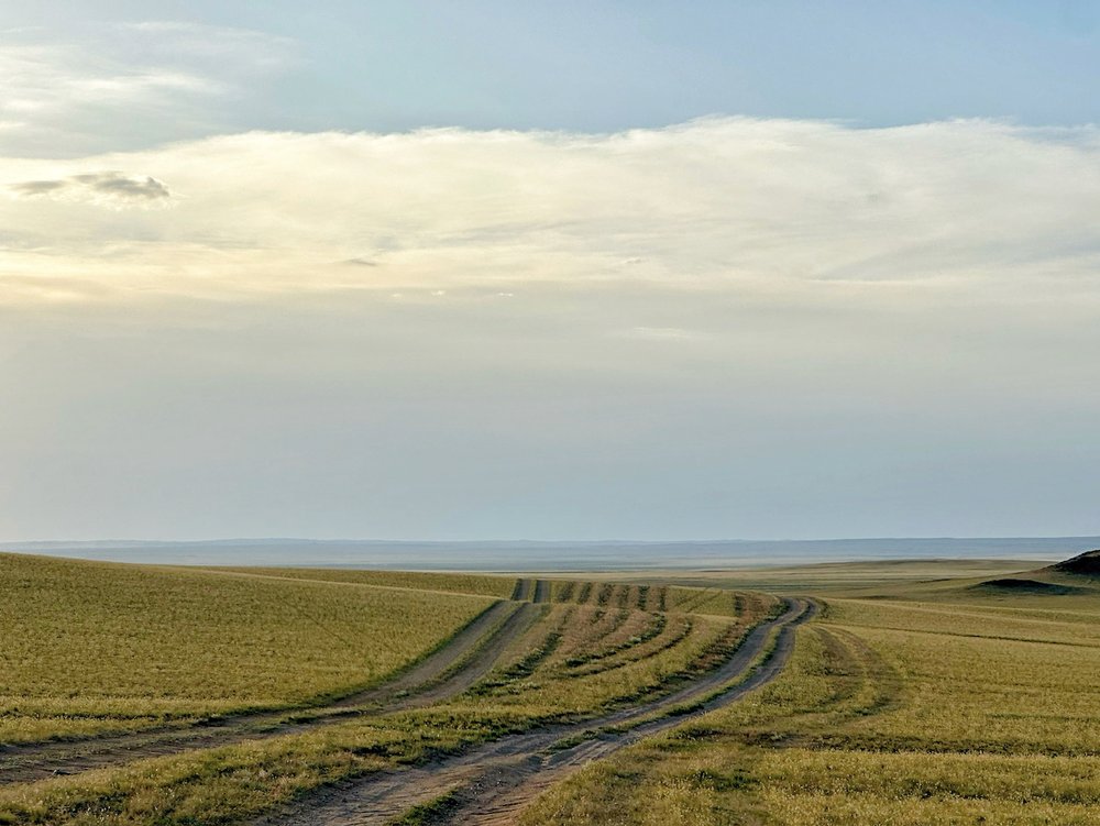 Mongolia Highway Desert Grass Tokarski Michał.jpeg