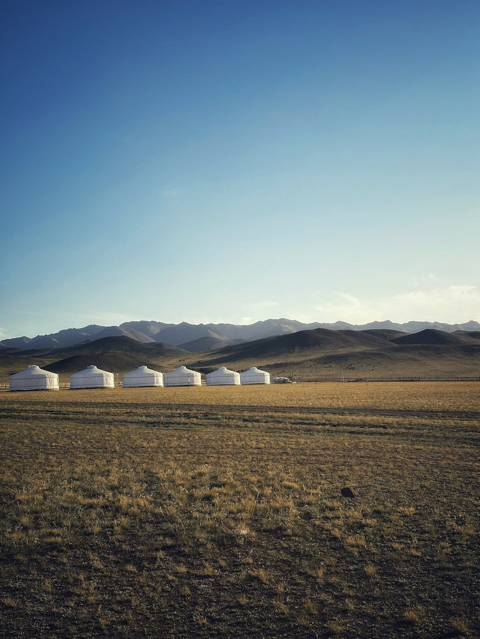 Mongolia Ger Camp.jpeg