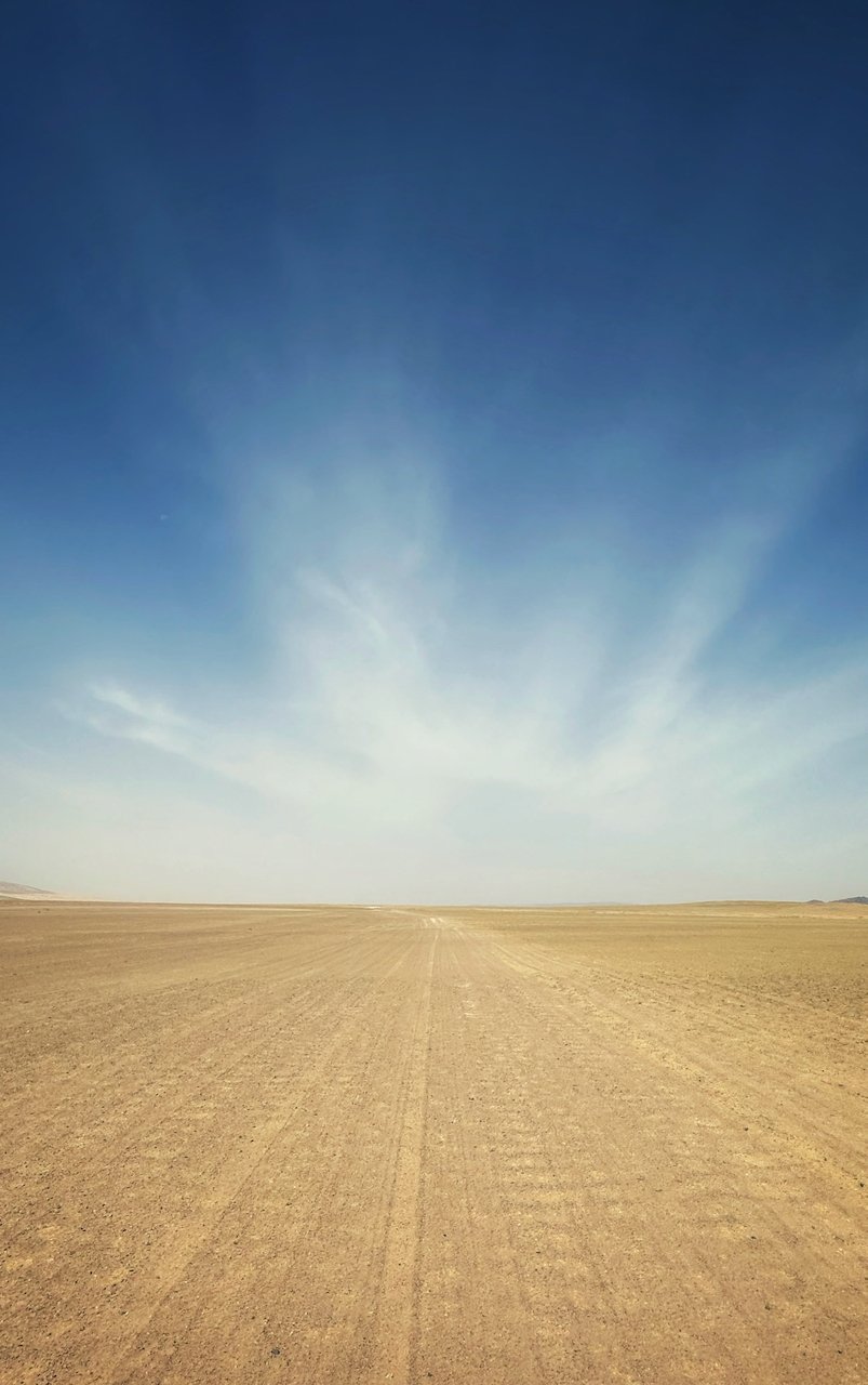 Flat Surface Sand Gobi Desert Mongolia.jpeg