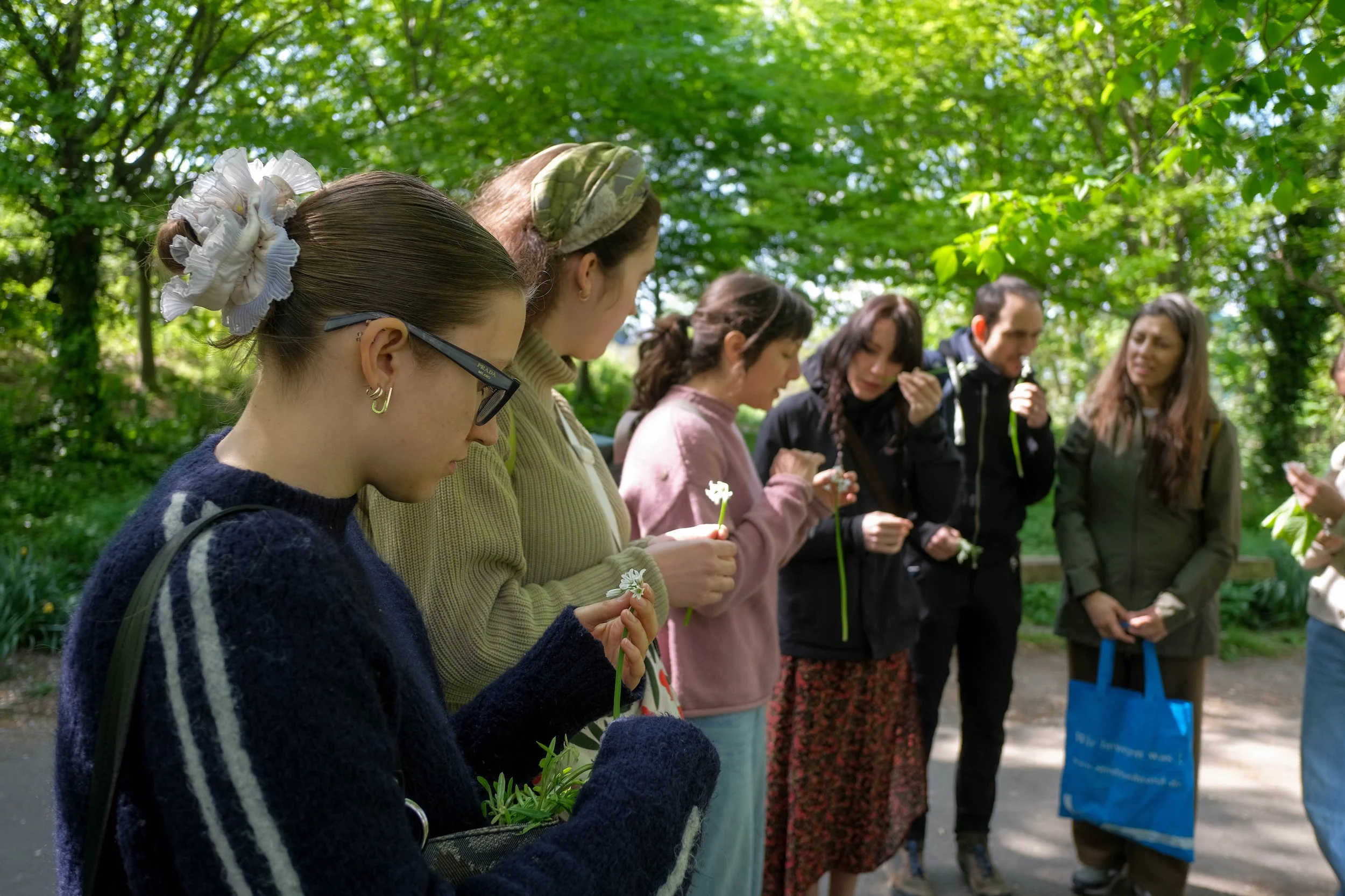 Group of foraging participants looking at plants