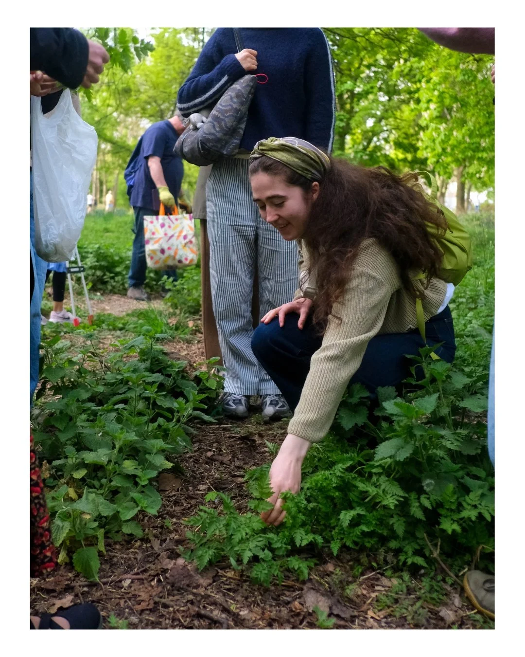 Woman gathering cow parsley