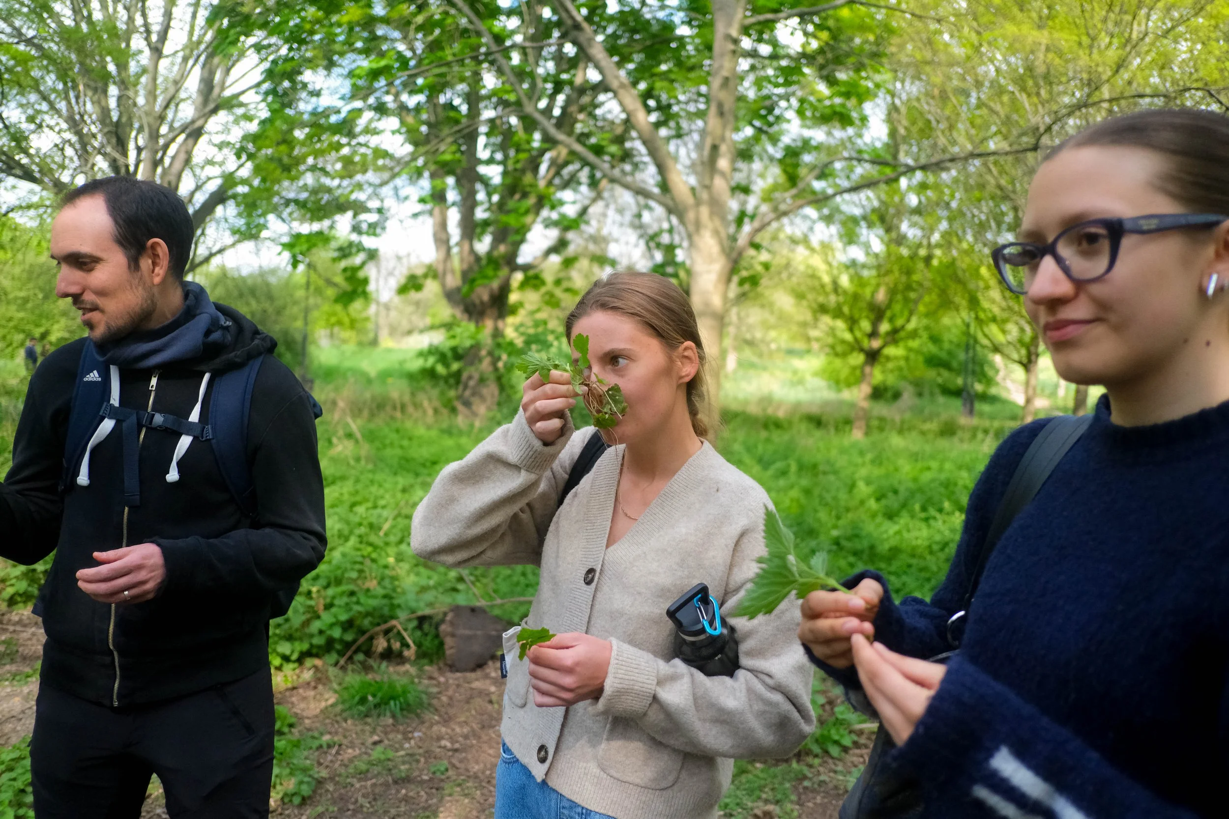 Foraging Participants with plants