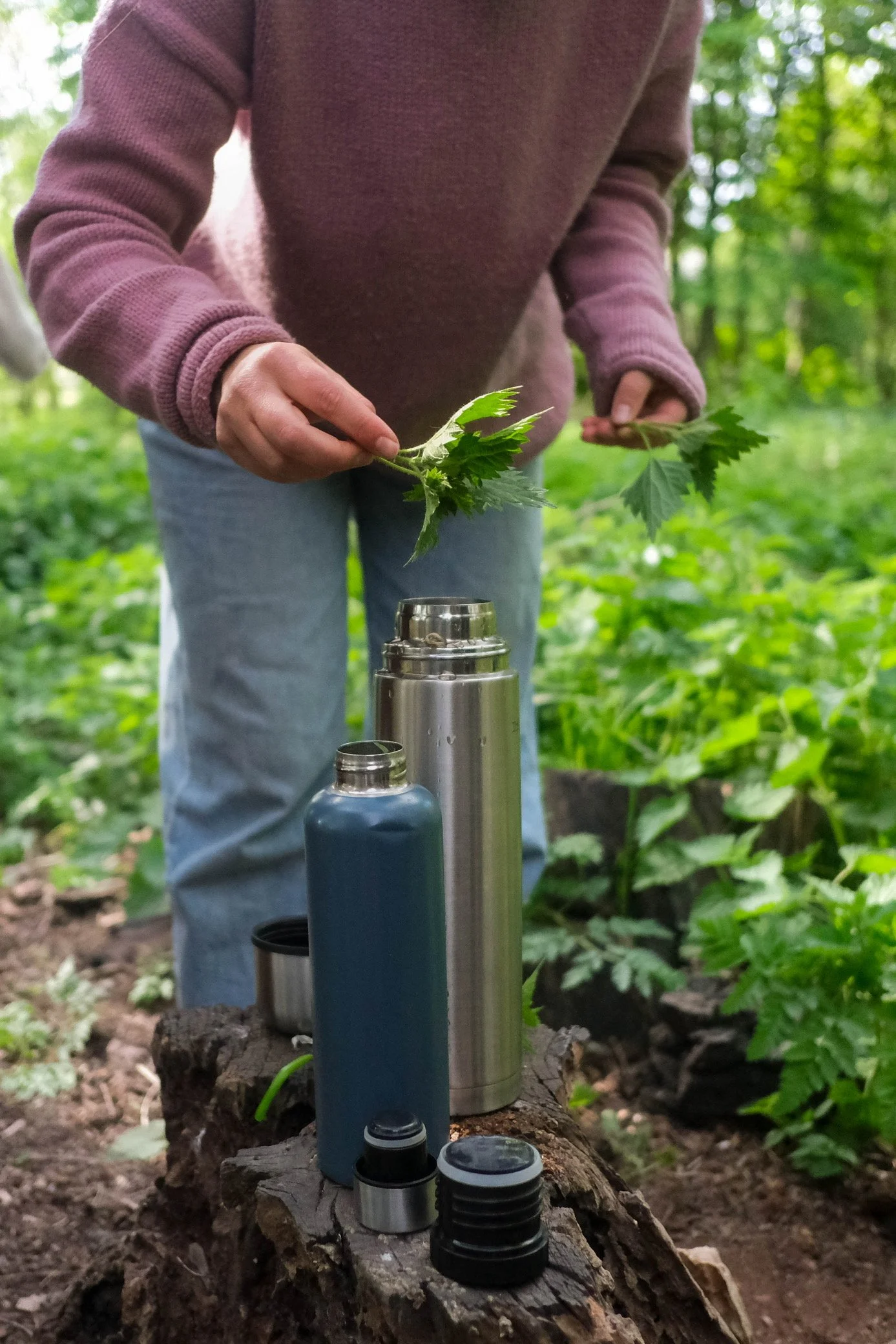 Group of foraging participants looking at plants