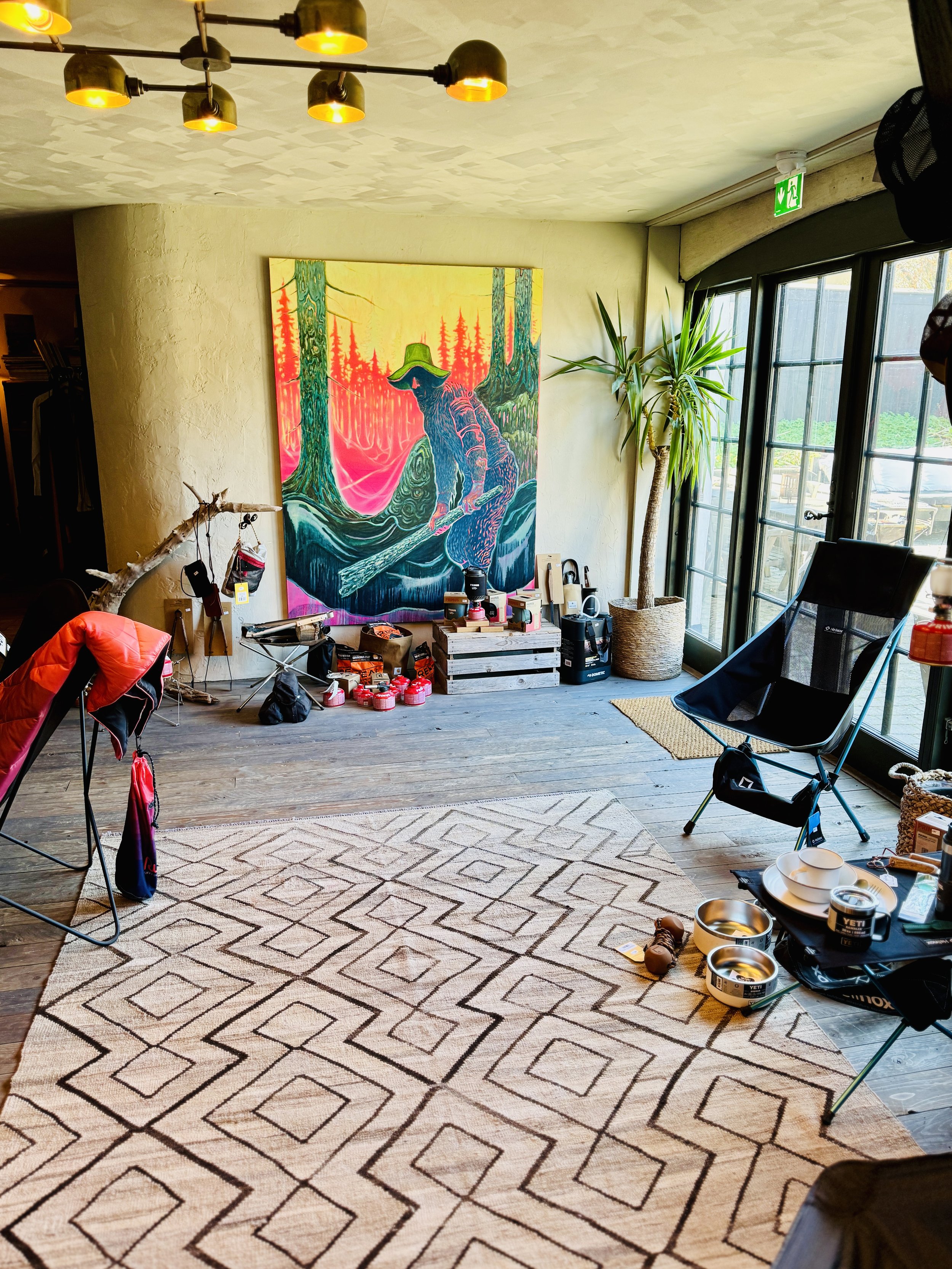 Interior room with camping gear, large artwork, geometric rug, and indoor plant near glass doors.