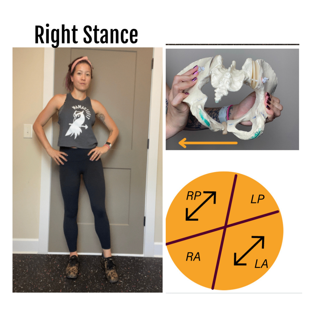 Pelvic Floor Quadrants and Stance Influences — MamasteFit