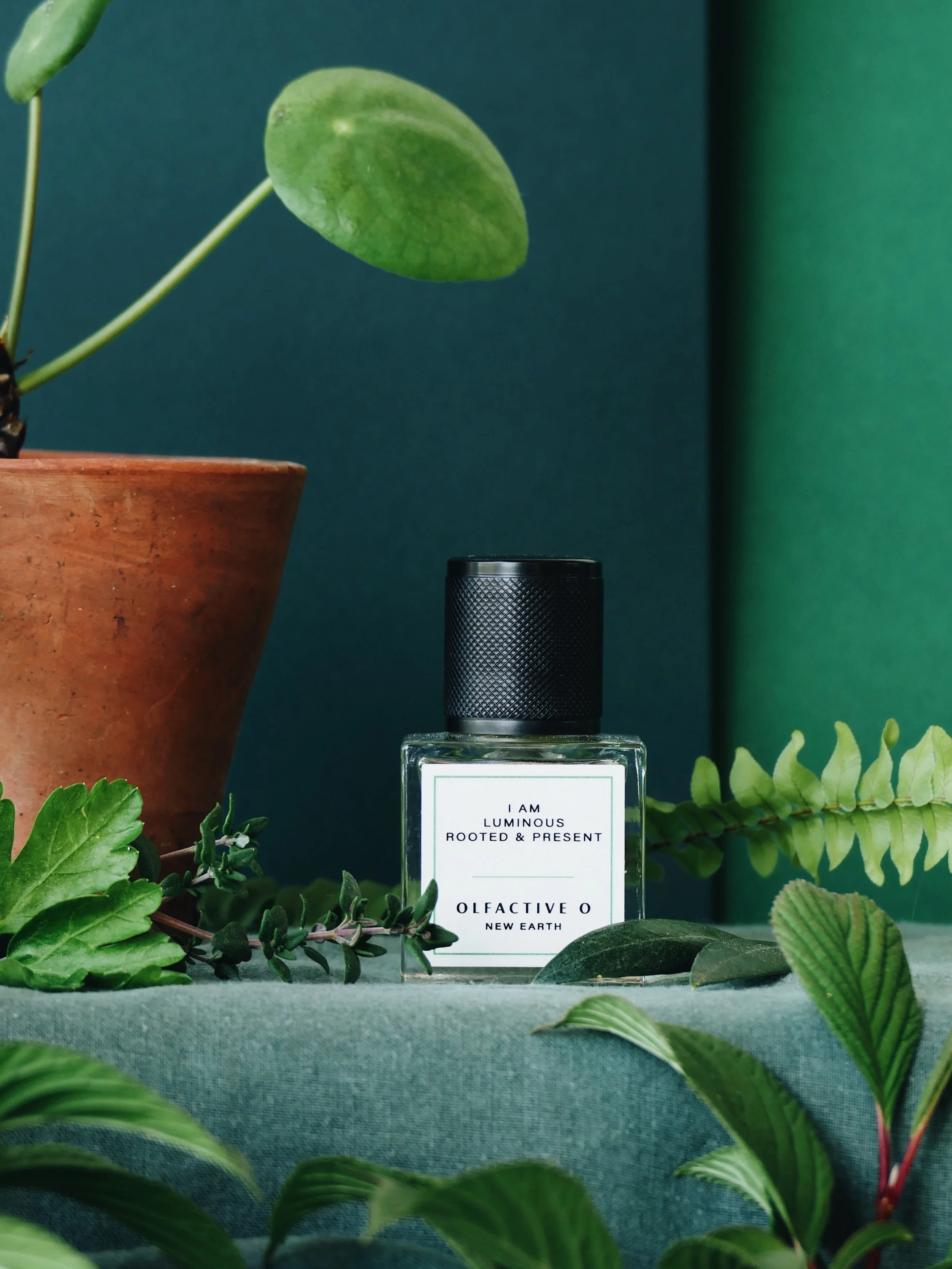 Design and photography for @olfactive_o new scent New  Earth. &ldquo;I am the host who cooks to the rhythm of the seasons, the one who pulls up an extra chair before you&rsquo;ve even asked. I believe in the beauty of things made by hand - the thumbp