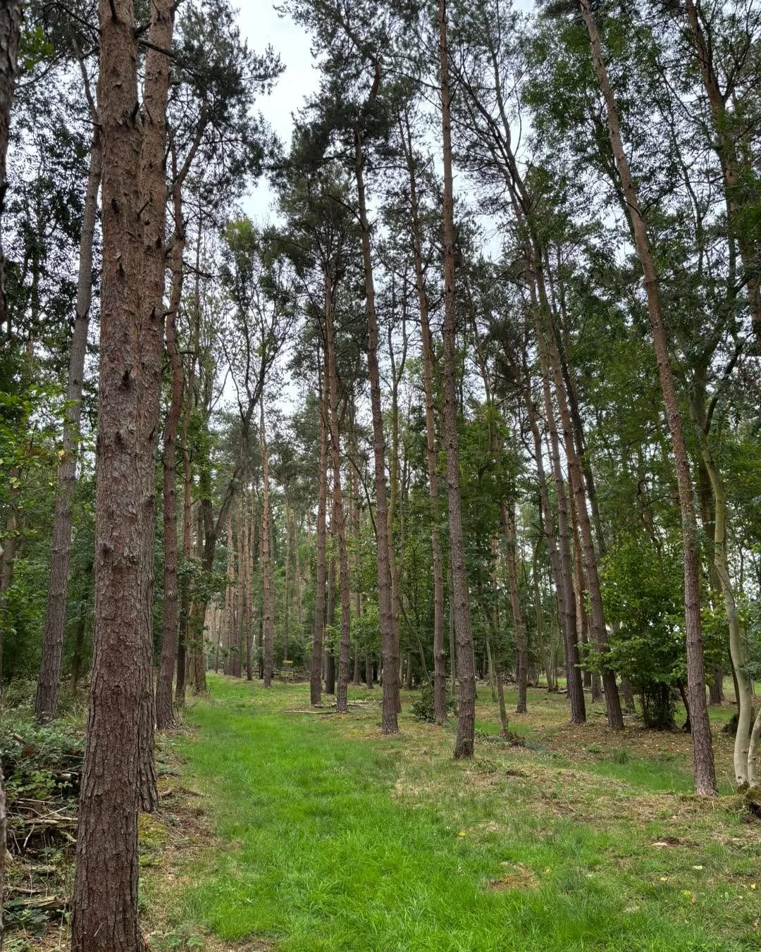 A natural canopy 🌳

Better than any umbrella (in our opinion 🤩) our woodland course keeps you sheltered, with a cathedral of  trees protecting you from any showers 🥏.

Don&rsquo;t let the great British weather impact your fun 🌦️ and join us for a