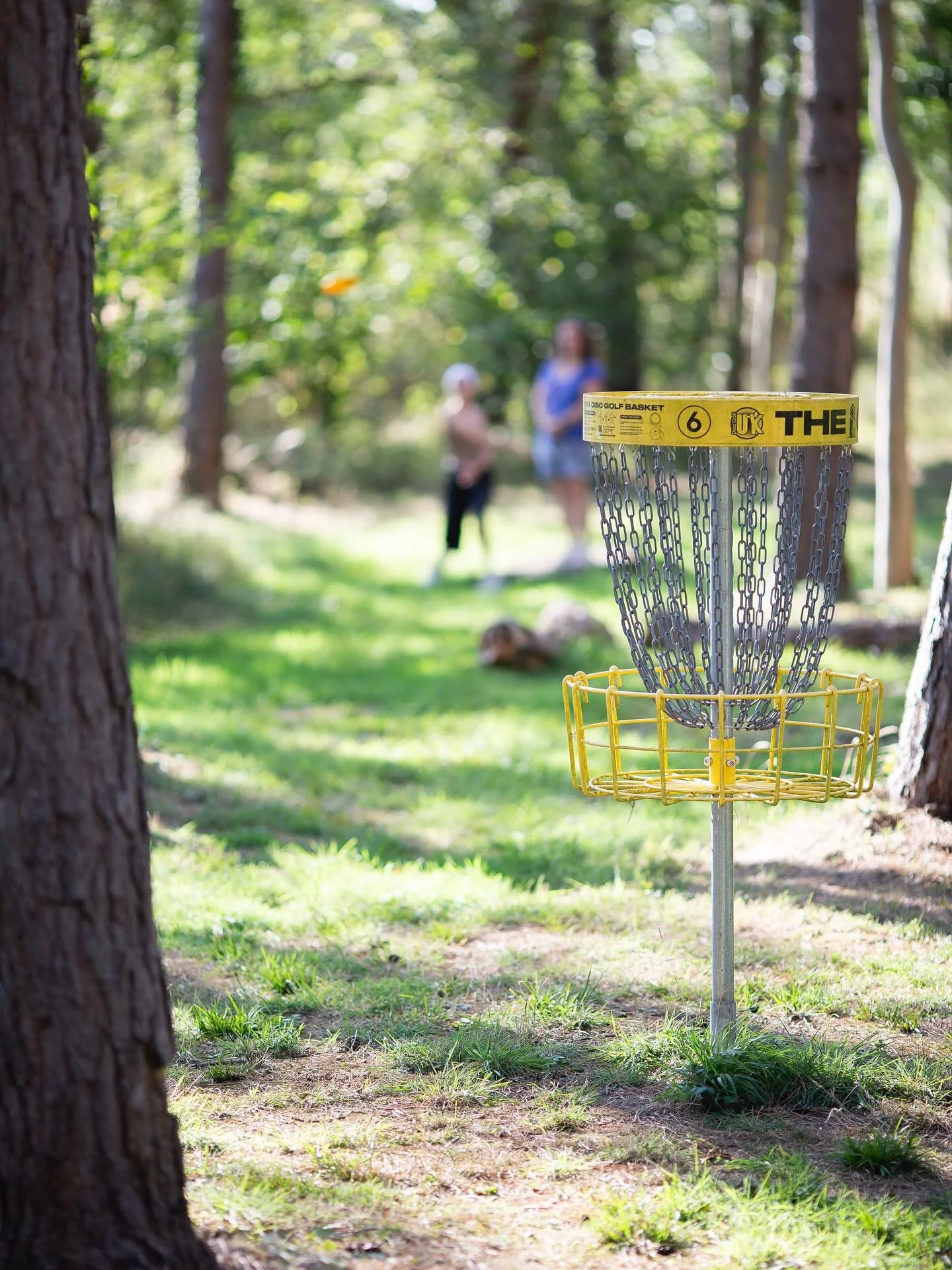 Escape the heat this bank holiday ☀️!

Our shaded woodland is the ideal place to spend a hot bank holiday with the family!

Suitable for all ages, we even have a special offer on today - enjoy 6 extra holes for free on our Orange course 🍊🥏!

Open a