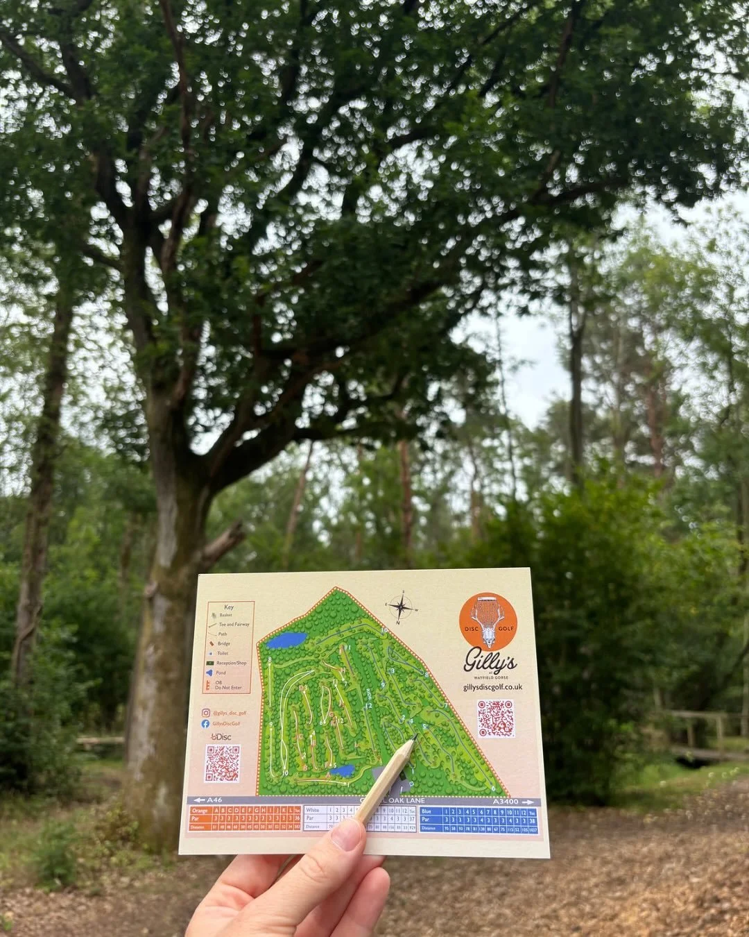 3 courses, 17 acres of woodland 🌳

Get the kids out into the fresh air and tap into their competitive spirit with Disc Golf 🥏.

Easy to learn and fun for all ages, rounds start from only &pound;4 🤩!

Stop by and test yourself ✨

#discgolf #stratfo