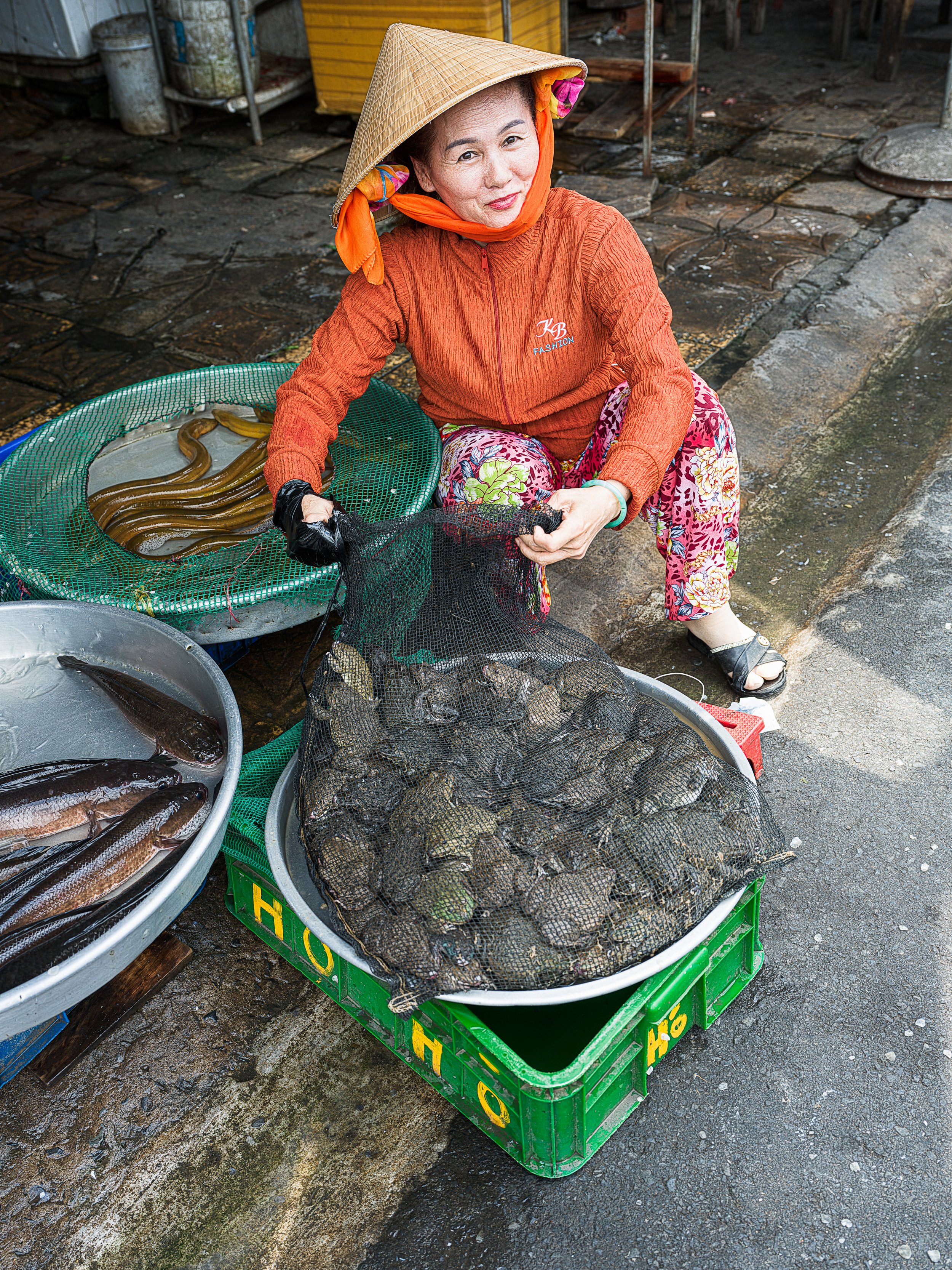 eels fish and frogs