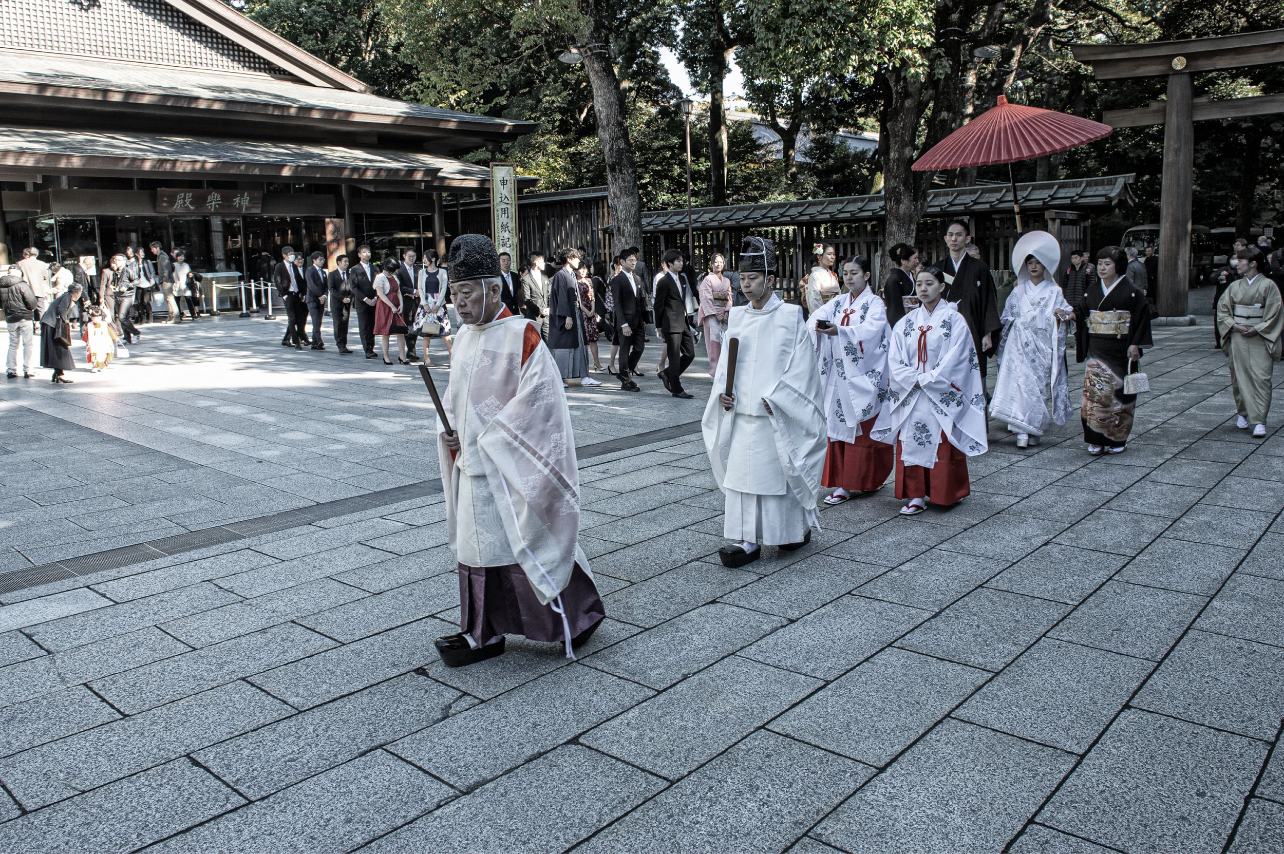wedding at meiji jingu , adjacent to yoyogi park, shibuya , tokyo. november 2017