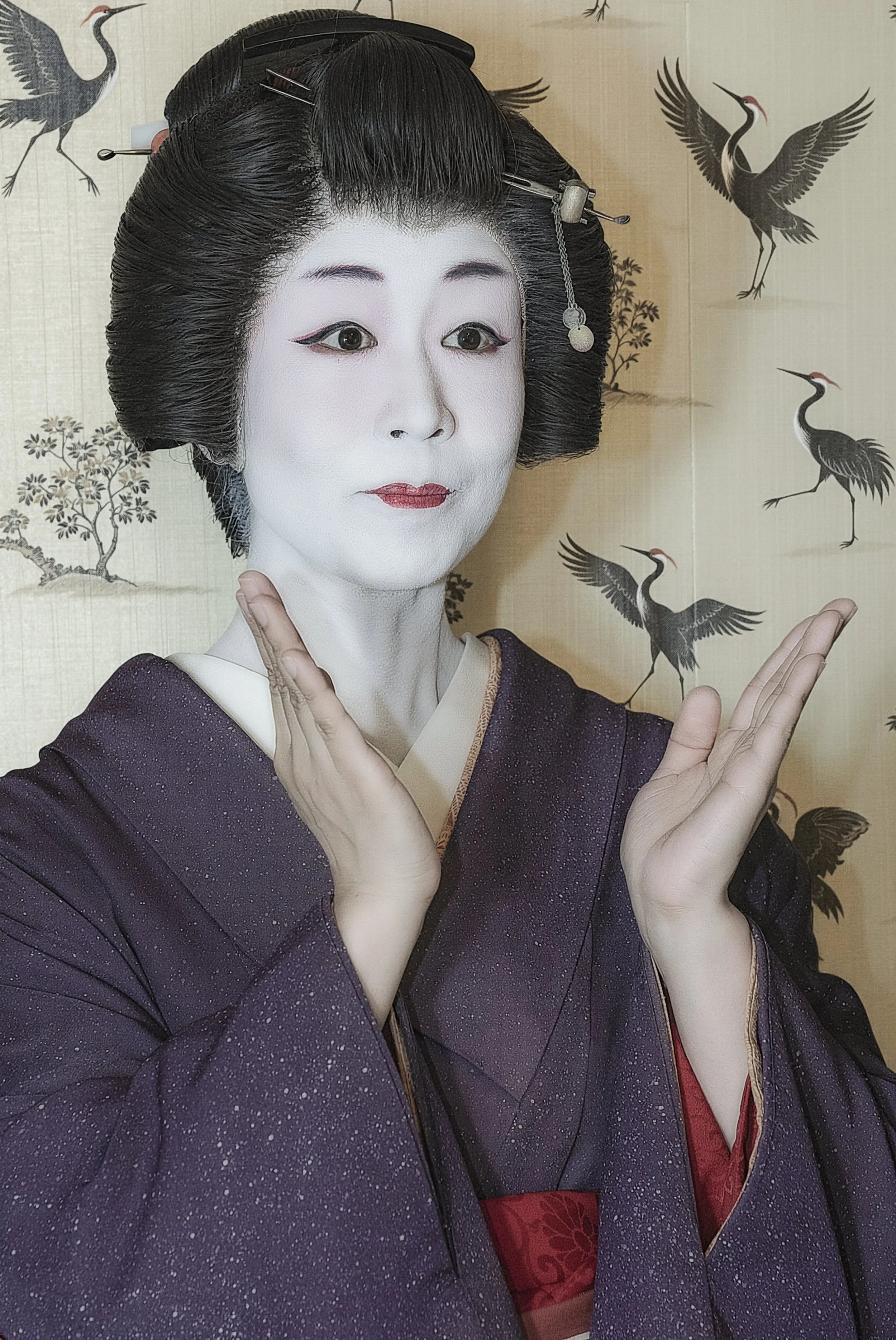 aduha , tokyo based geisha
