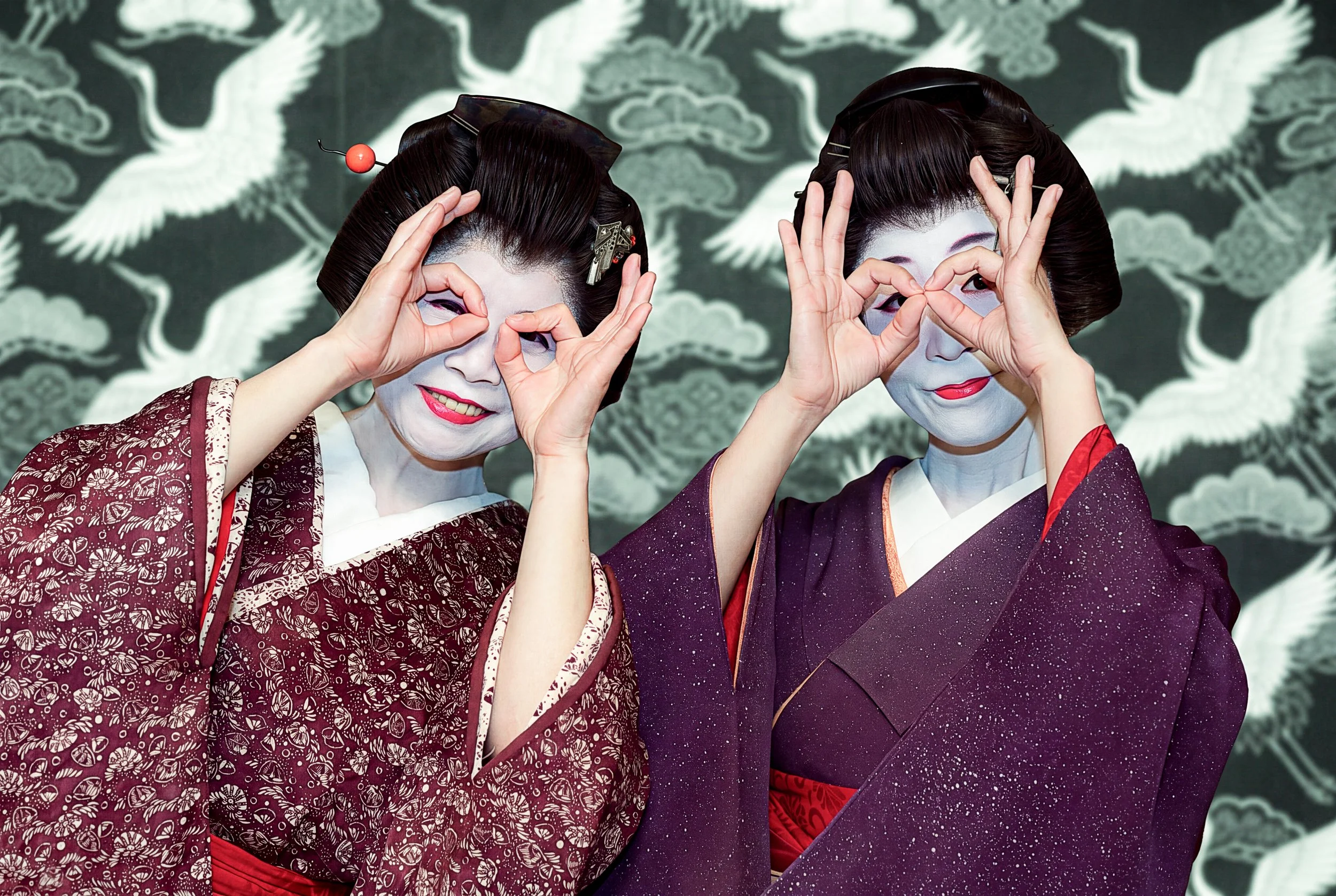 geisha games , private dinner , tokyo.