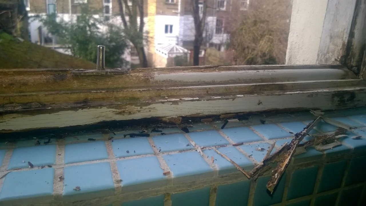 Carpenter, Decorator, Gas/Heating Engineer, Electrician, Plumbing, Handyman, Tiling, Roofing