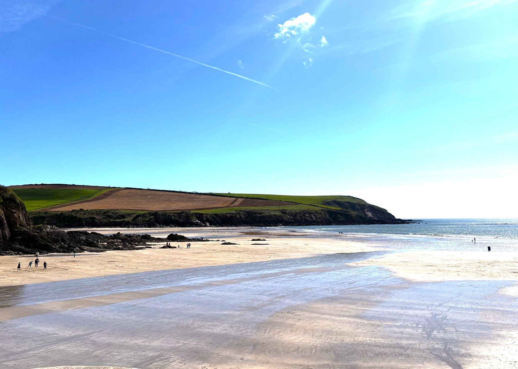 8 August  Mothecombe private beach.jpg