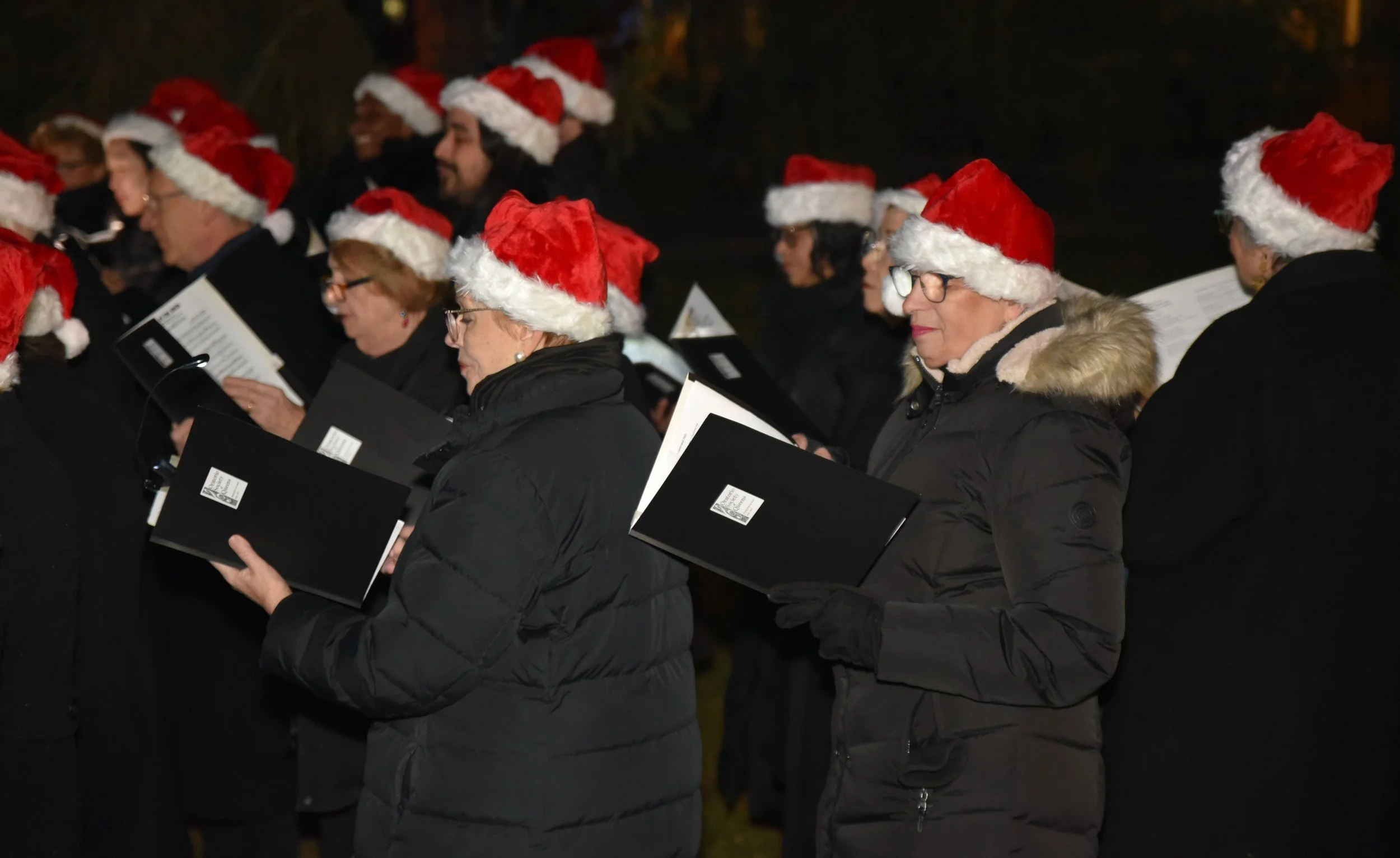 tree lighting pic 4.jpg