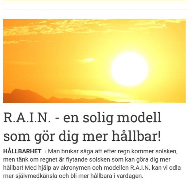 Vill du s&auml;tta mer h&aring;llbara gr&auml;nser, hitta b&auml;ttre balans och bygga ett mer h&aring;llbart sj&auml;lvledarskap? D&aring; &auml;r R.A.I.N. modellen mycket anv&auml;ndbar! Du hittar min artikel plus annan inspiration f&ouml;r dagens 