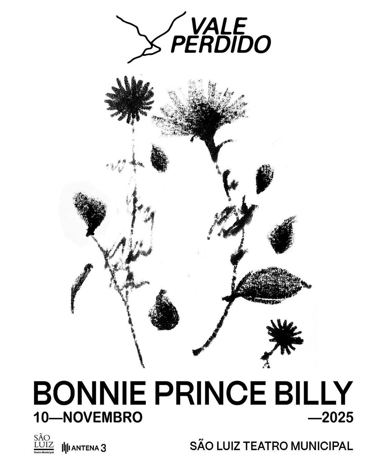 Vale Perdido 2025 01.jpeg