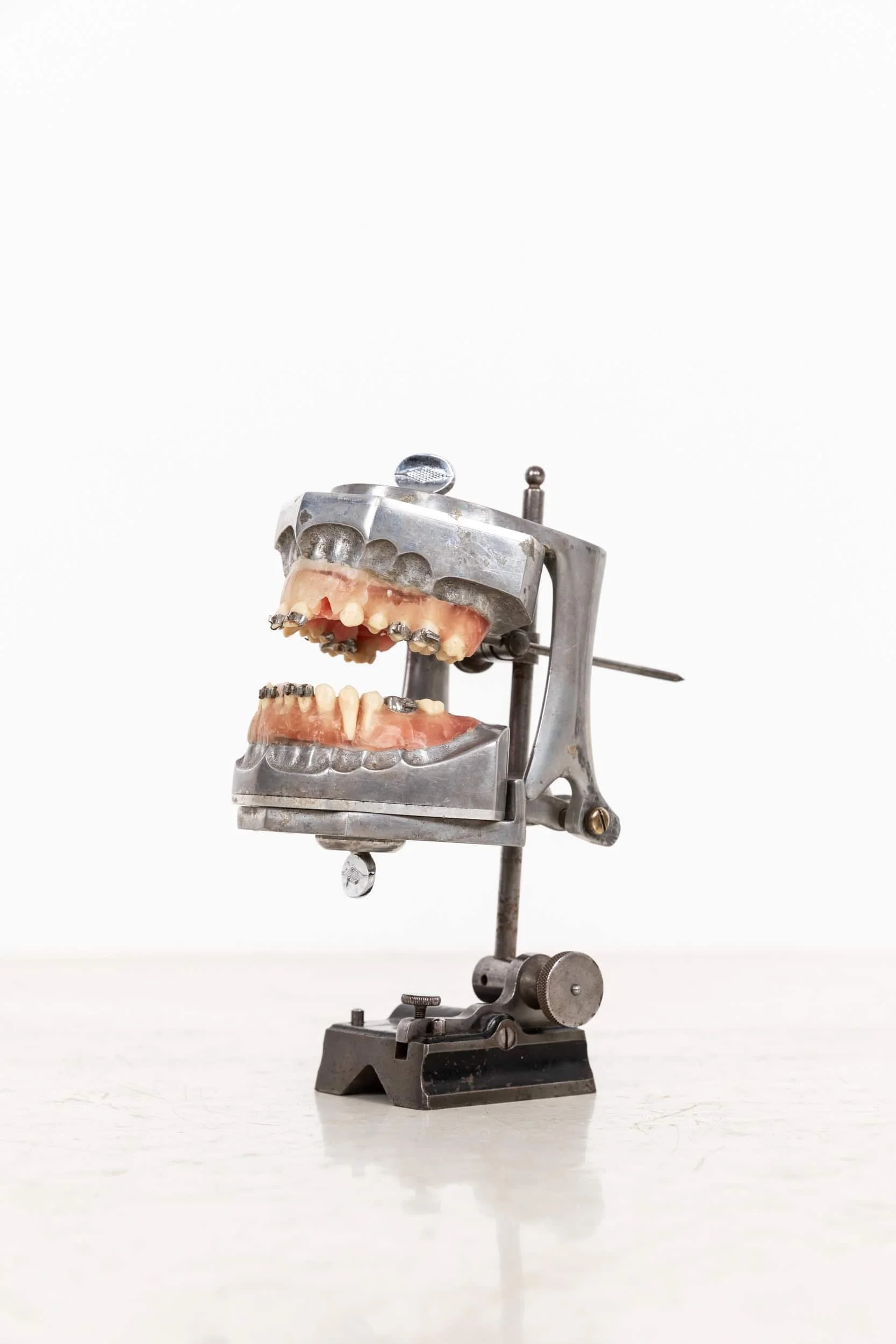 Antique Orthodonist's 'Phantom' Dental Teaching Aid