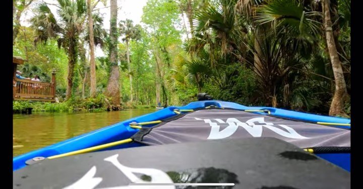Trying to hit all the springs in Florida.  #wekiwasprings #kingslanding @obtainadventure @levib501 #floridasprings kayaking