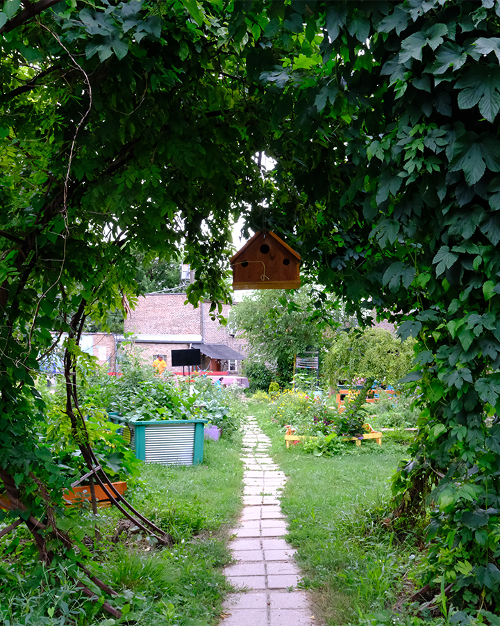 DSCF3610 (1)1.png