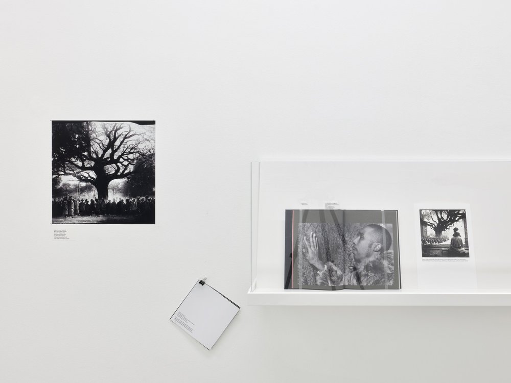 Fotobibliothek in der Passage_Poetics of Search_12_2022_LowRes.jpg